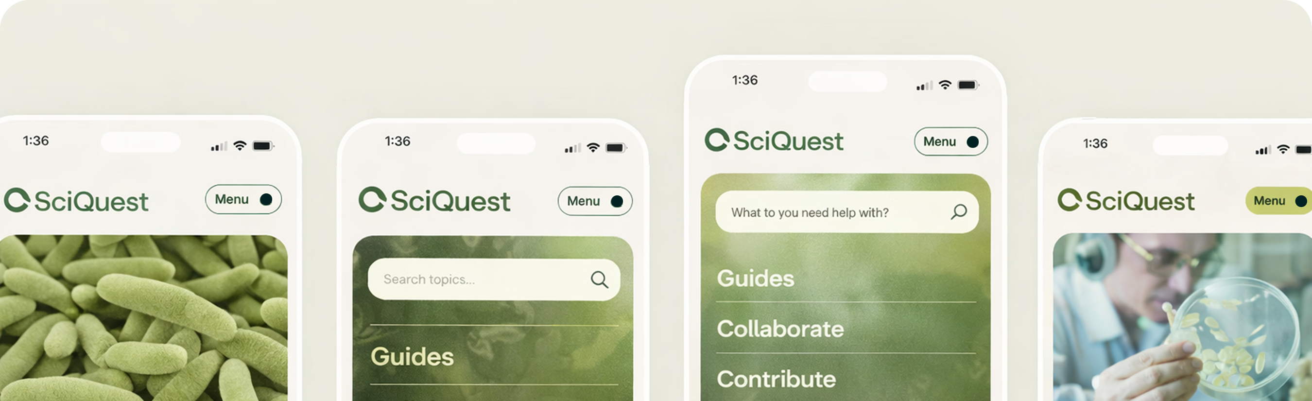 Aperçu de plusieurs écrans mobiles SciQuest conçus par Onlance